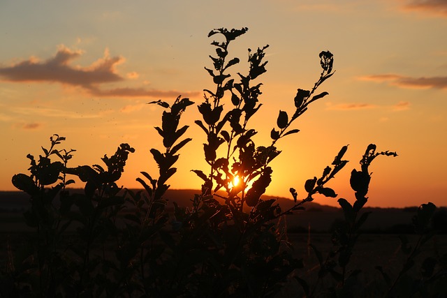 Sanfte Meereswellen bei Sonnenuntergang